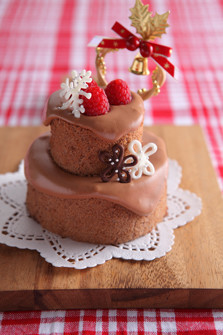 ベリーのクリスマスチョコケーキ
